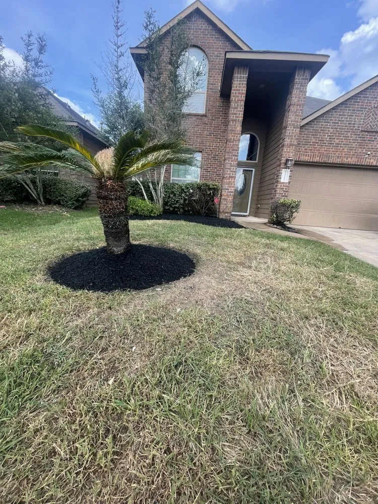 Custom lawn care service for homes across Houston, TX - Landscaping Services By Francisco