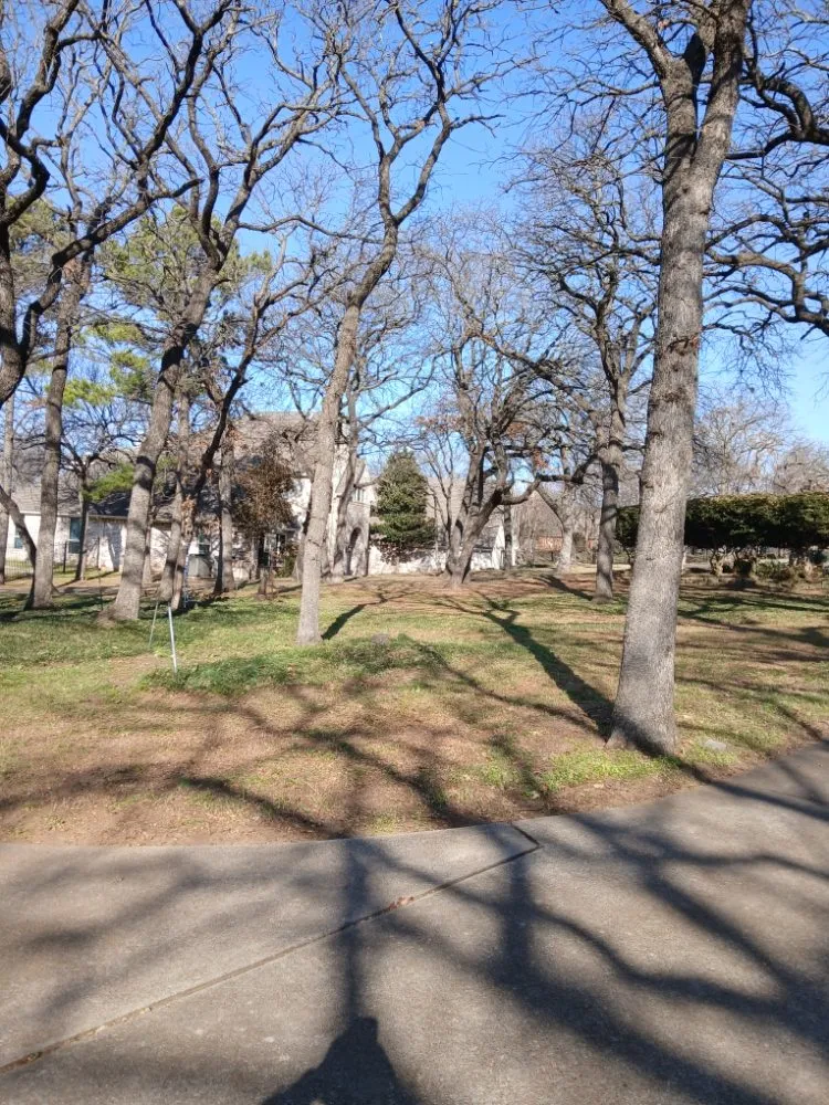 Top-rated yard maintenance for year-round maintenance in Haltom City, TX by Landscaping Services JM