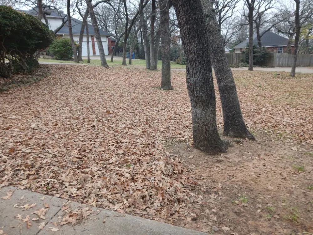 Top-rated residential landscaping experts serving Haltom City, TX - Landscaping Services JM