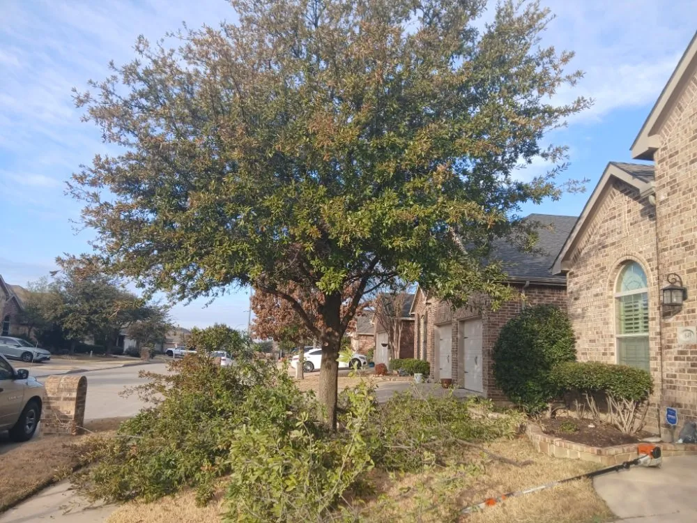 Trusted yard cleanup service for outdoor upgrades across Haltom City, TX - Landscaping Services JM