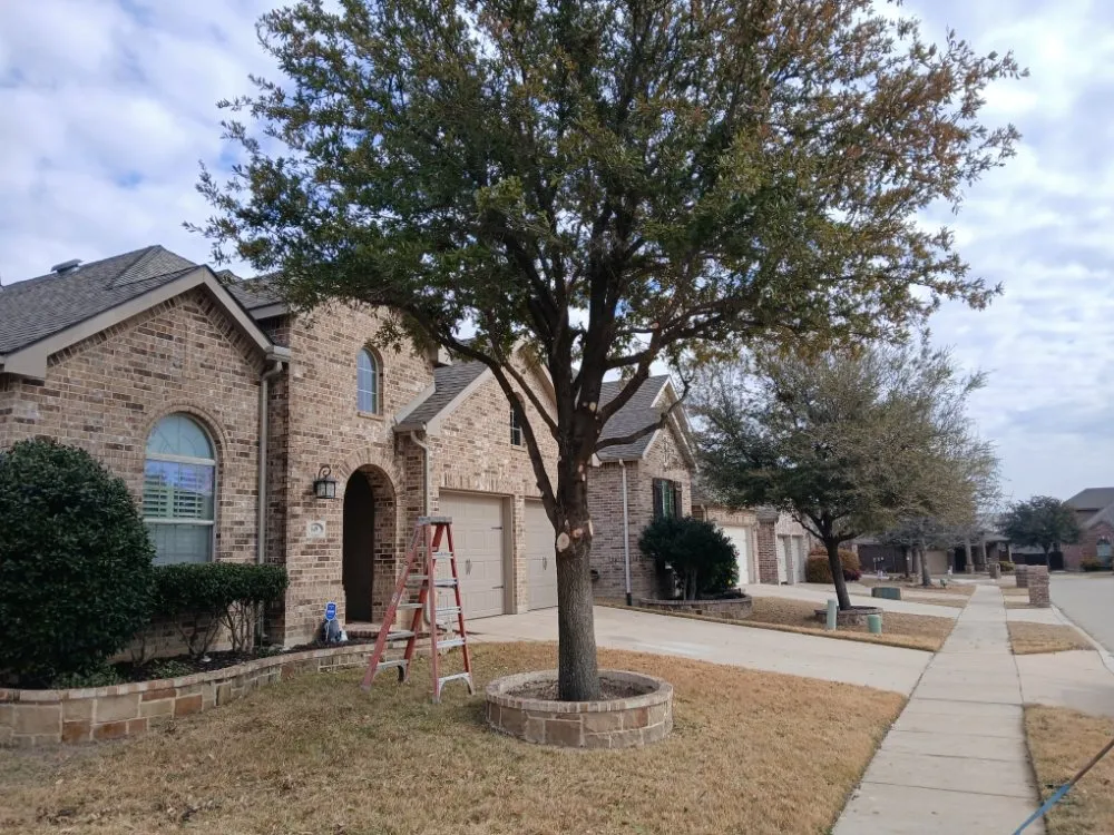 Reliable lawn care service near you across Haltom City, TX - Landscaping Services JM