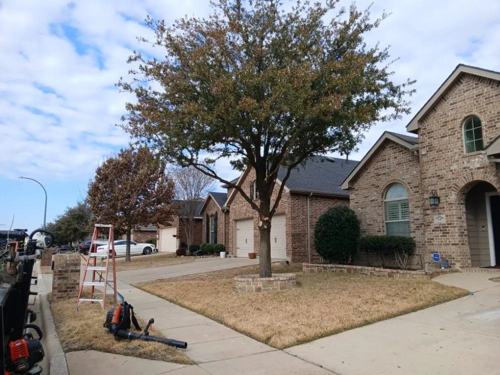 Affordable yard cleanup service in Haltom City, TX by Landscaping Services JM
