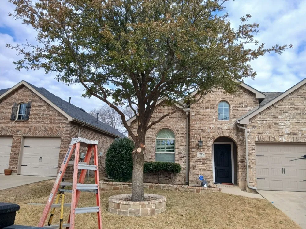 Custom garden landscaping for outdoor upgrades in Haltom City, TX by Landscaping Services JM