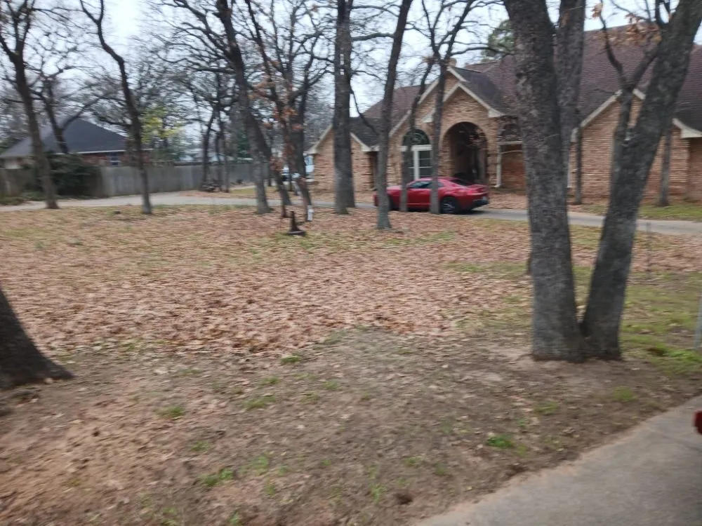 Affordable yard cleanup service experts serving Haltom City, TX - Landscaping Services JM