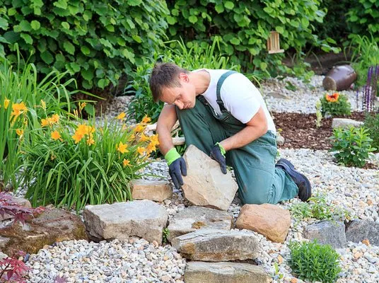 Landscaping Services of Tucson Logo