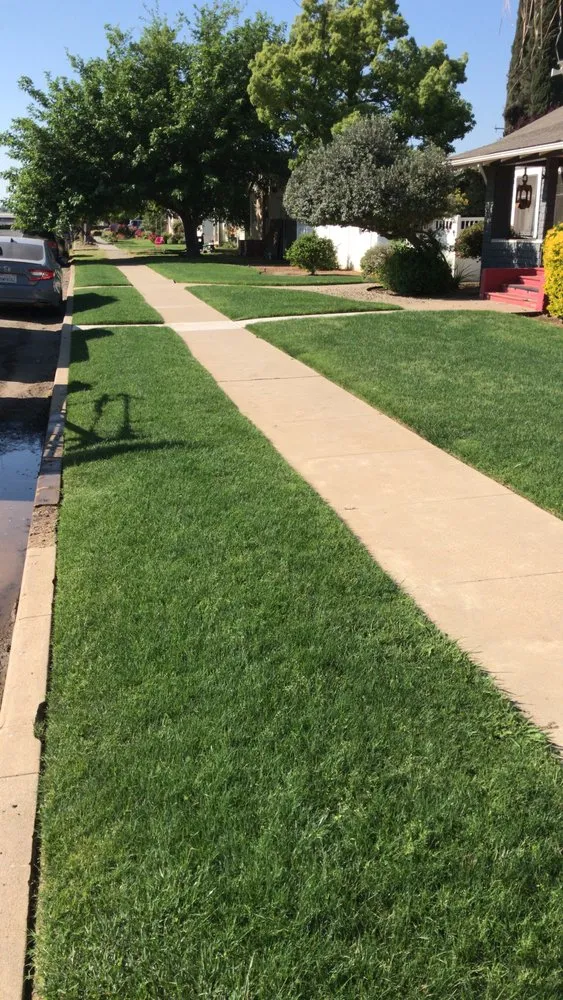 Affordable lawn care service in Porterville, CA - Landscaping Services