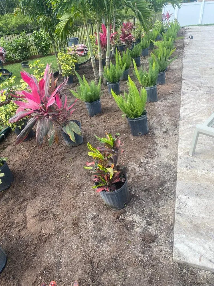 Custom residential landscaping near you across Dallas, TX - Landscaping Service’s R & F