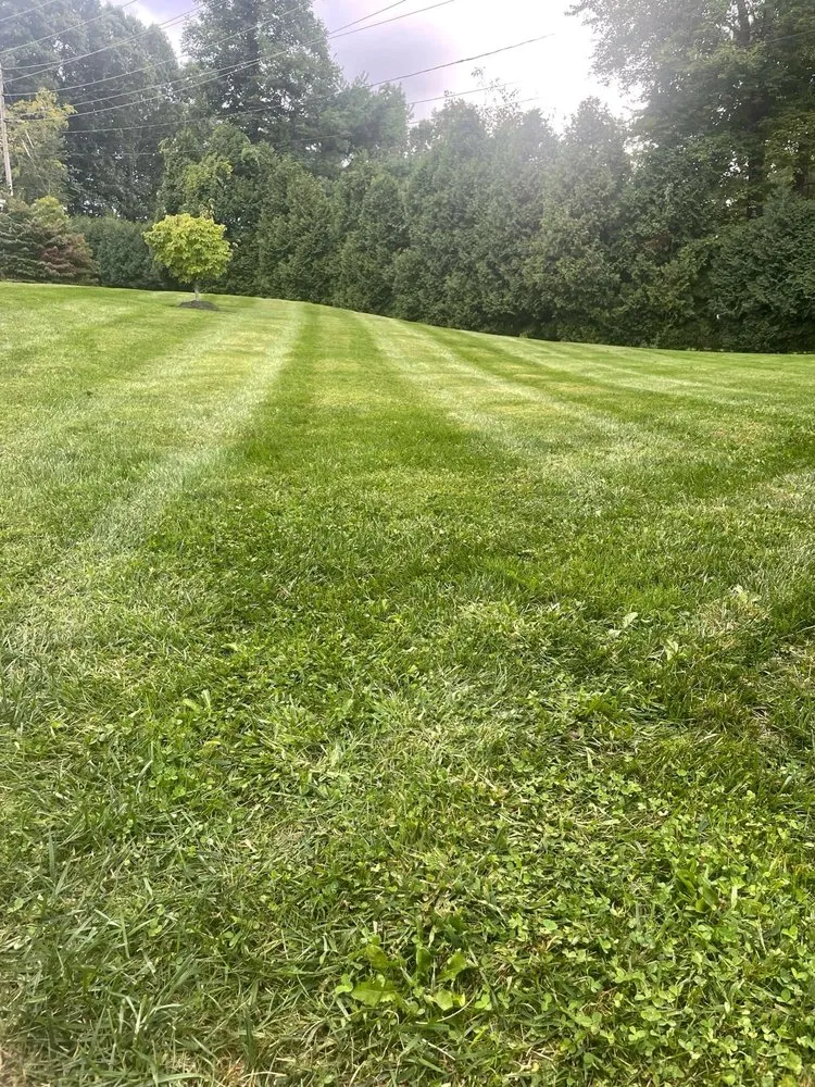 Affordable garden landscaping experts serving West Hartford, CT - Landscaping Services