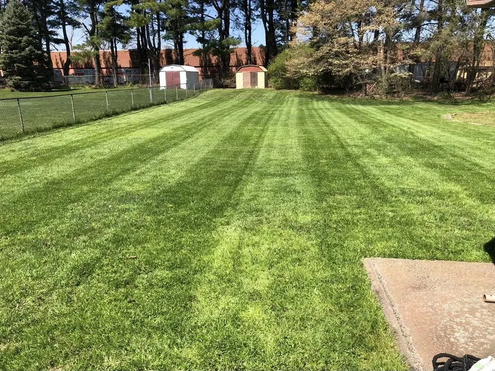 Custom lawn care service in West Hartford, CT - Landscaping Services