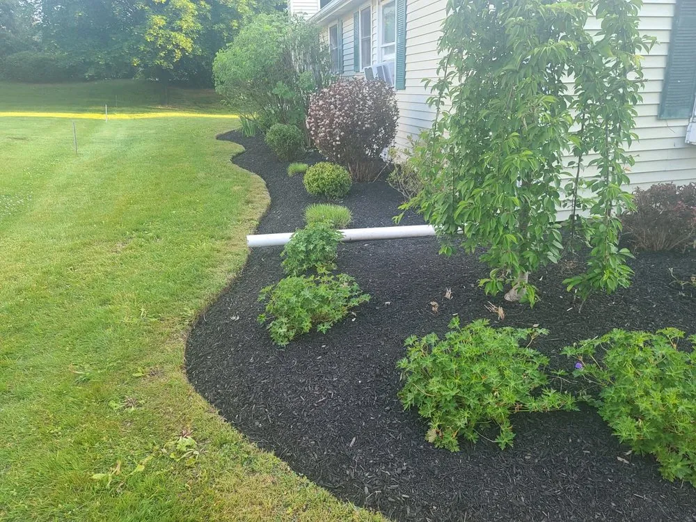 Reliable yard cleanup service in West Hartford, CT by Landscaping Services