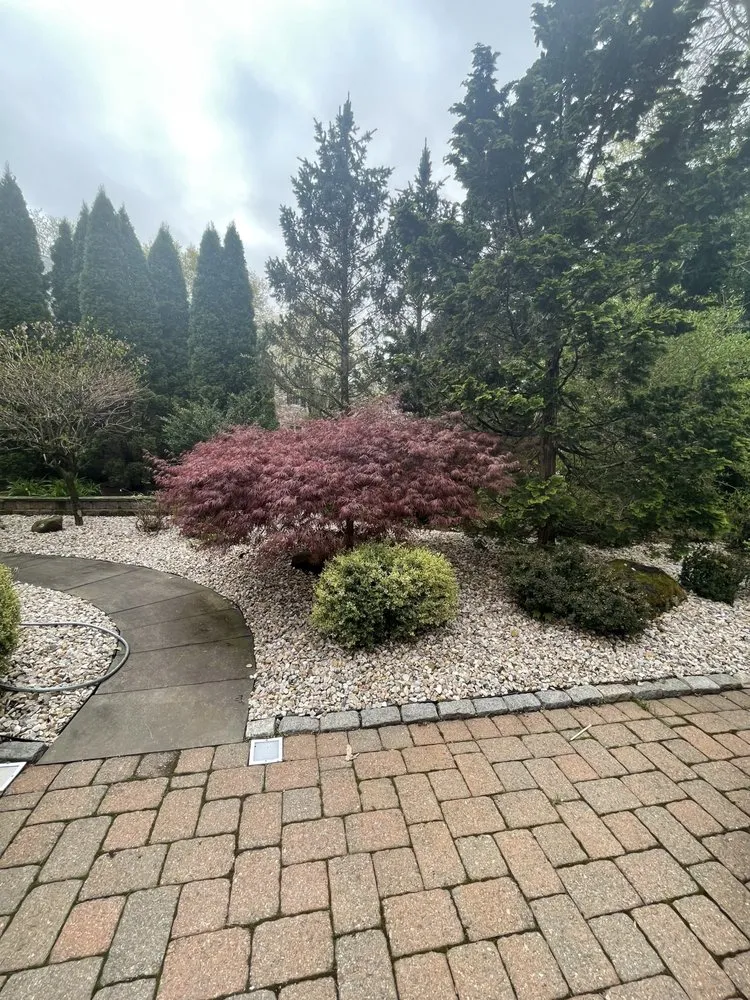 Local lawn care service for beautiful yards in West Hartford, CT by Landscaping Services