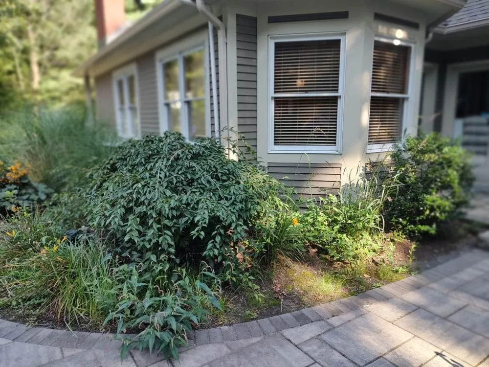 Affordable garden landscaping in West Hartford, CT by Landscaping Services