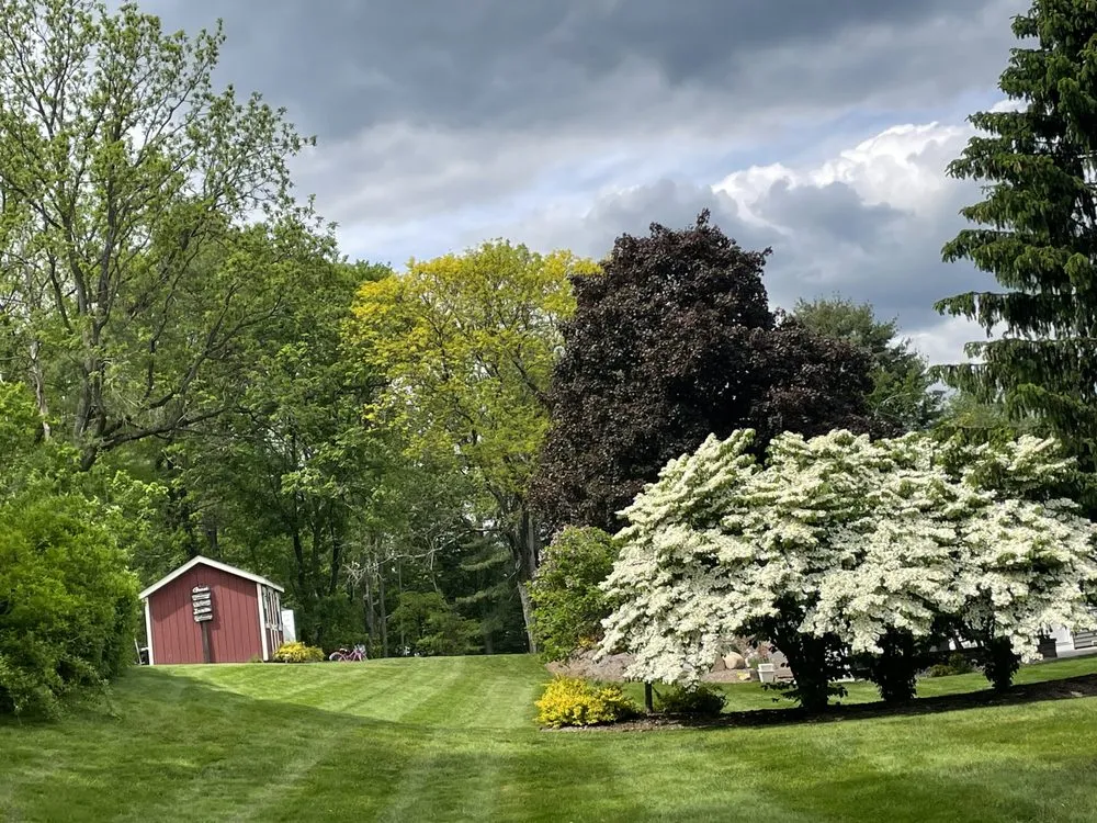 Reliable landscaping services in West Hartford, CT by Landscaping Services