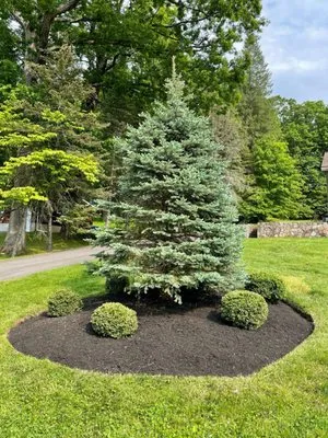 Landscaping Services Logo