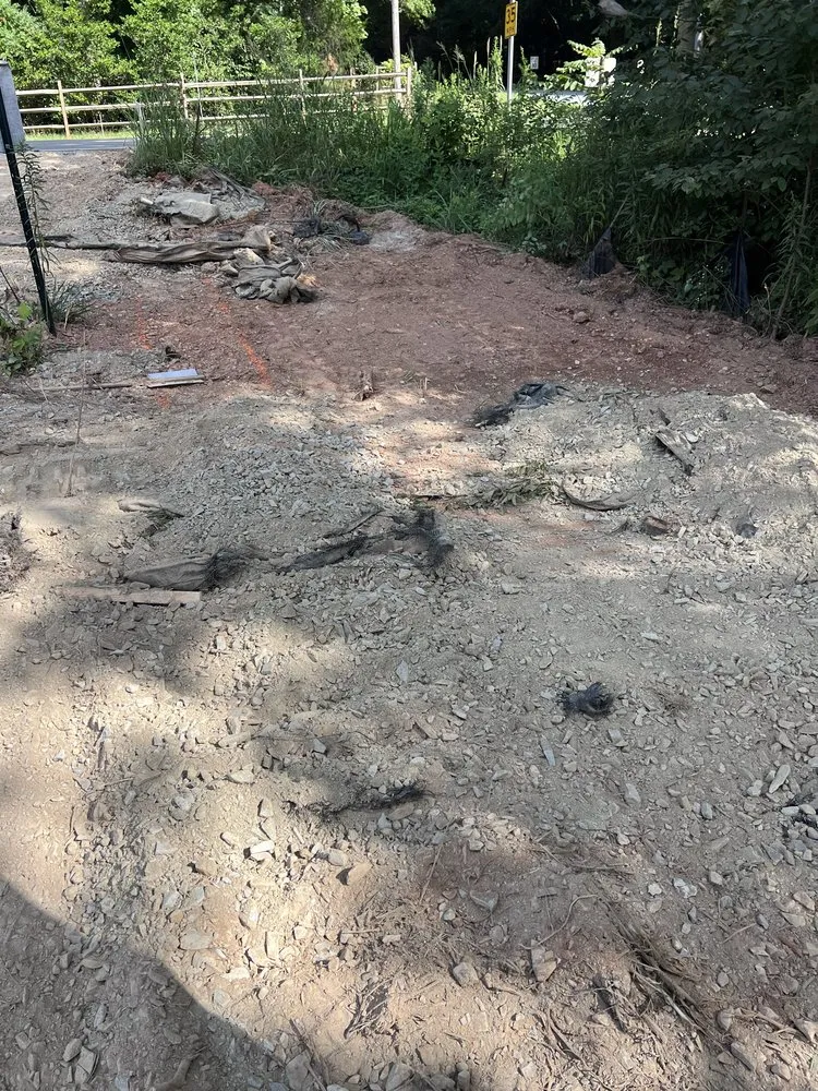 Professional yard cleanup service in Wingate, NC by Landscaping Services