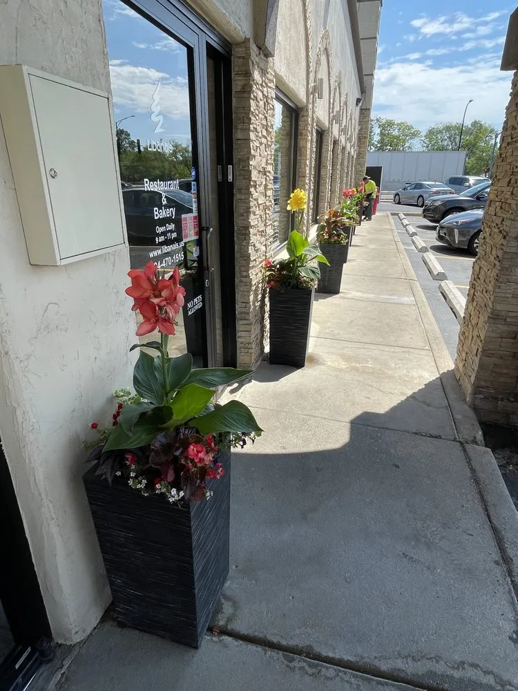 Local landscape design experts serving Buffalo Grove, IL - Landscaping Solutions