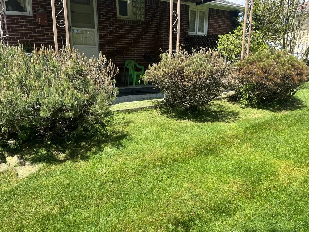 Expert garden landscaping for residential properties in Pittsburgh, PA by Landscaping Solutions