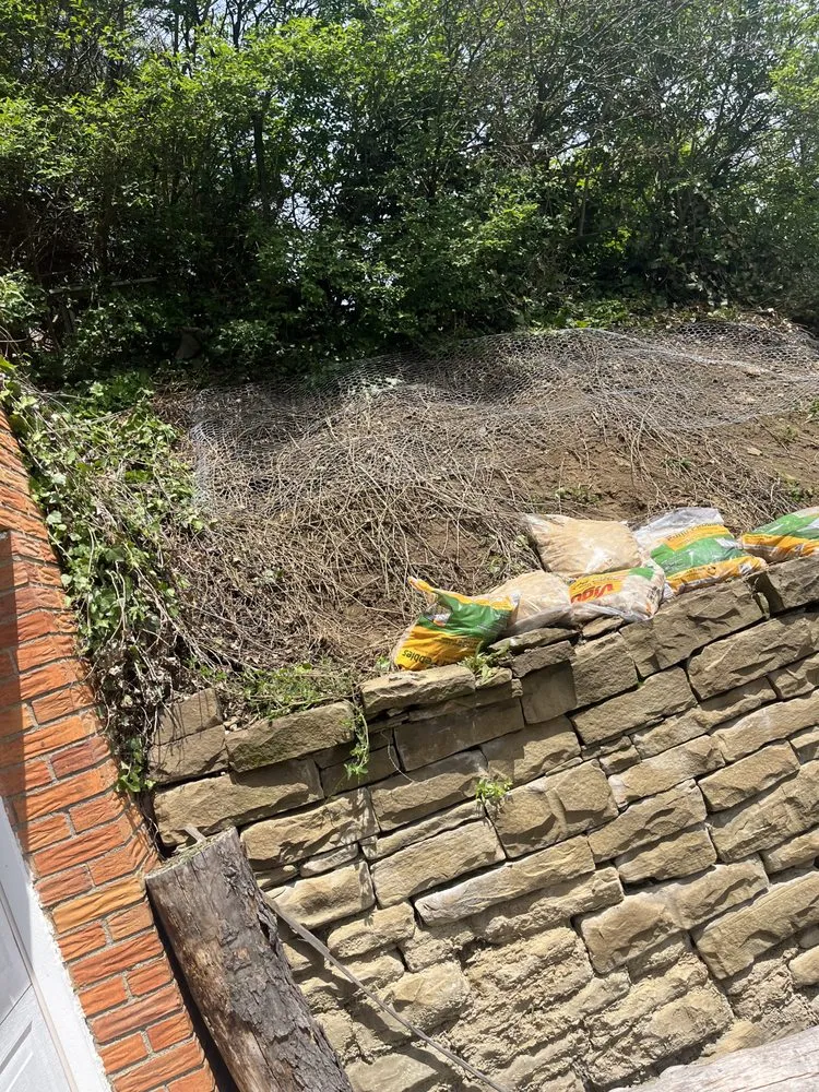 Local landscaping services for beautiful yards across Pittsburgh, PA - Landscaping Solutions