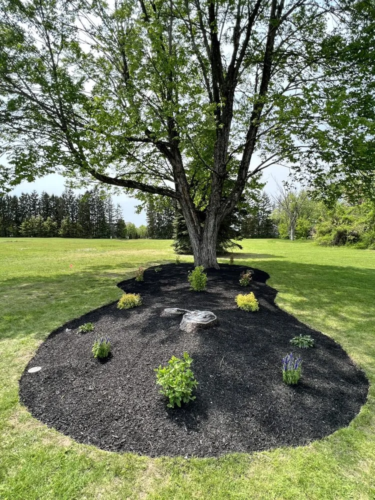 Reliable landscape design for outdoor upgrades across Clifton Park, NY - Landscaping Spot Designs