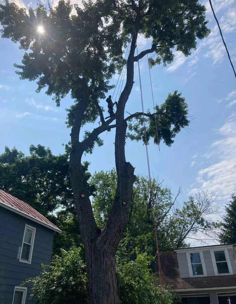 Trusted outdoor landscaping with custom design across Cincinnati, OH - Landscaping Super Services