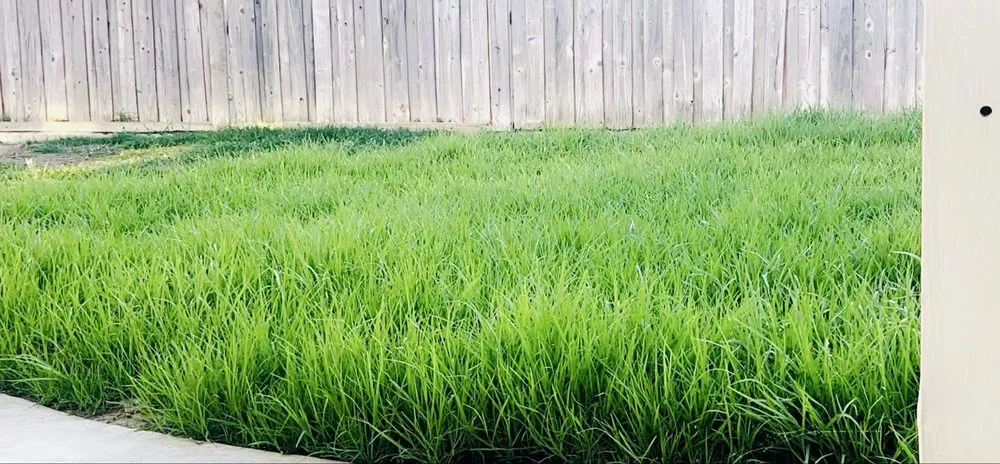 Custom garden landscaping experts serving Chino, CA - Landscaping Tecpoyotl