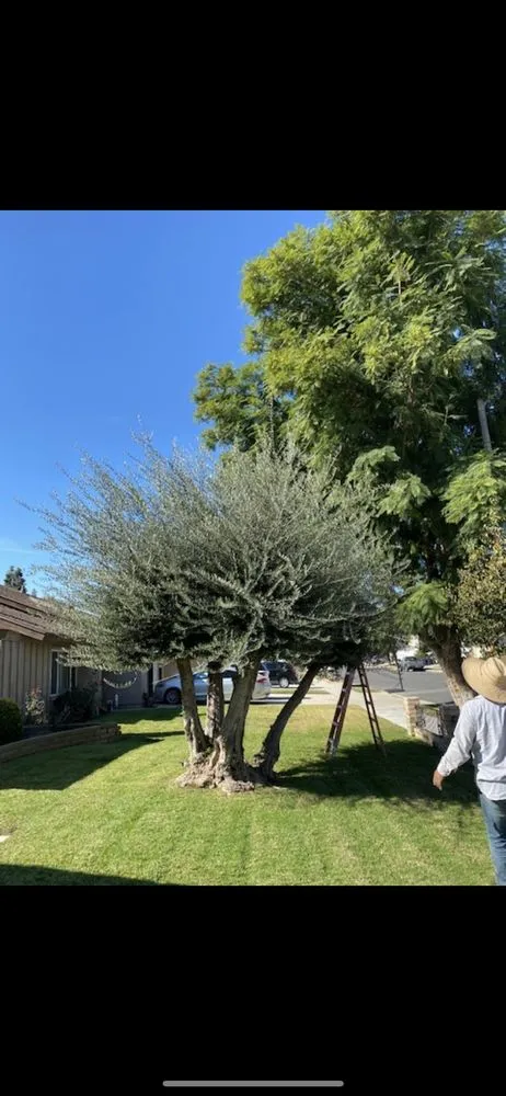 Affordable lawn mowing service near you across Chino, CA - Landscaping Tecpoyotl