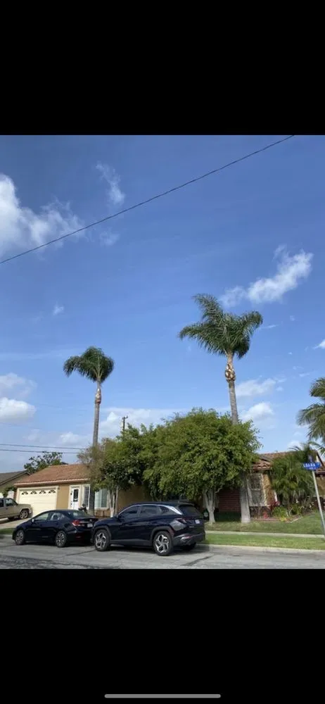 Expert landscape design experts serving Chino, CA - Landscaping Tecpoyotl