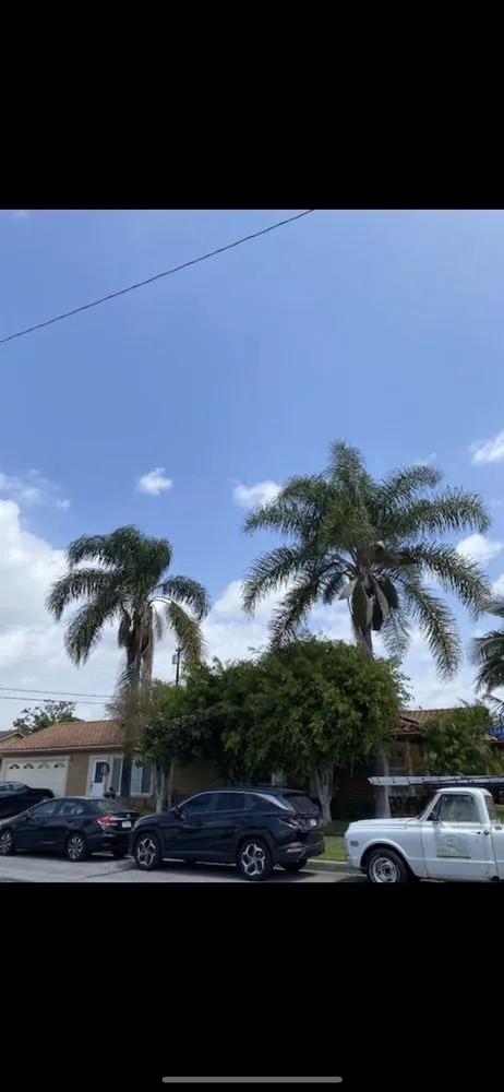 Professional lawn mowing service for year-round maintenance across Chino, CA - Landscaping Tecpoyotl