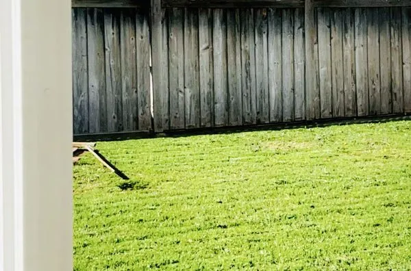 Landscaping Tecpoyotl