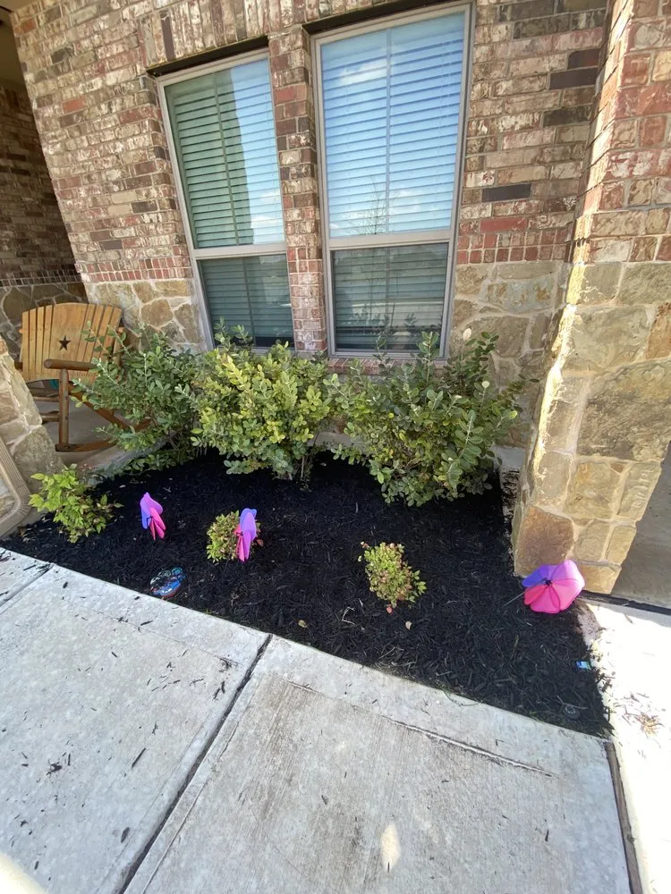 Professional garden landscaping for residential properties in Pflugerville, TX by Landscaping Teenager