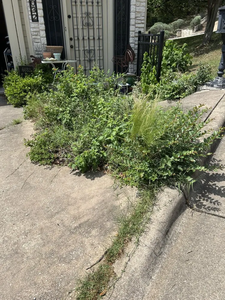 Top-rated landscape installation for beautiful yards in Pflugerville, TX by Landscaping Teenager