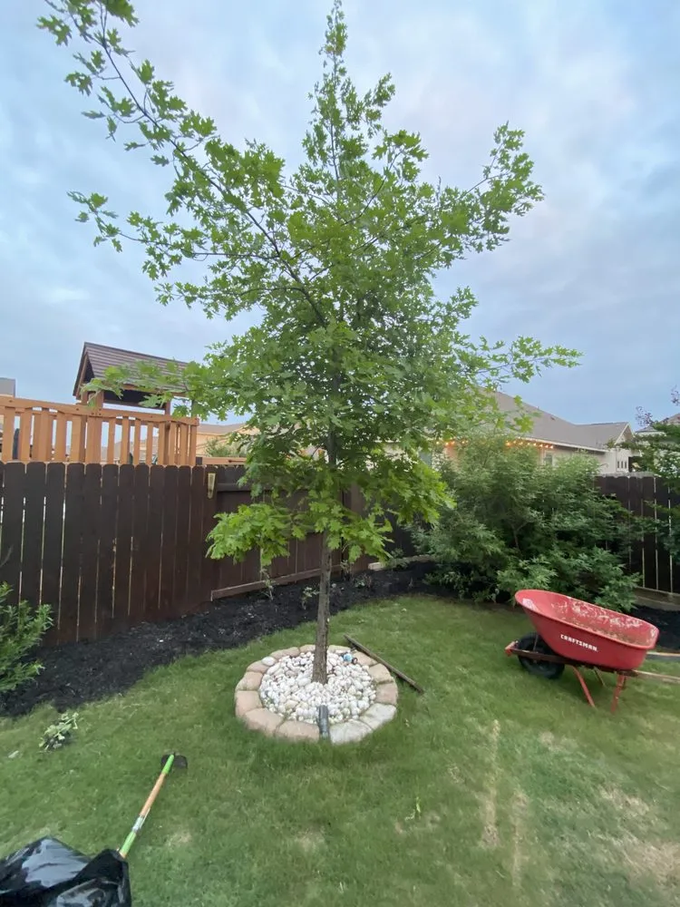 Custom lawn mowing service experts serving Pflugerville, TX - Landscaping Teenager