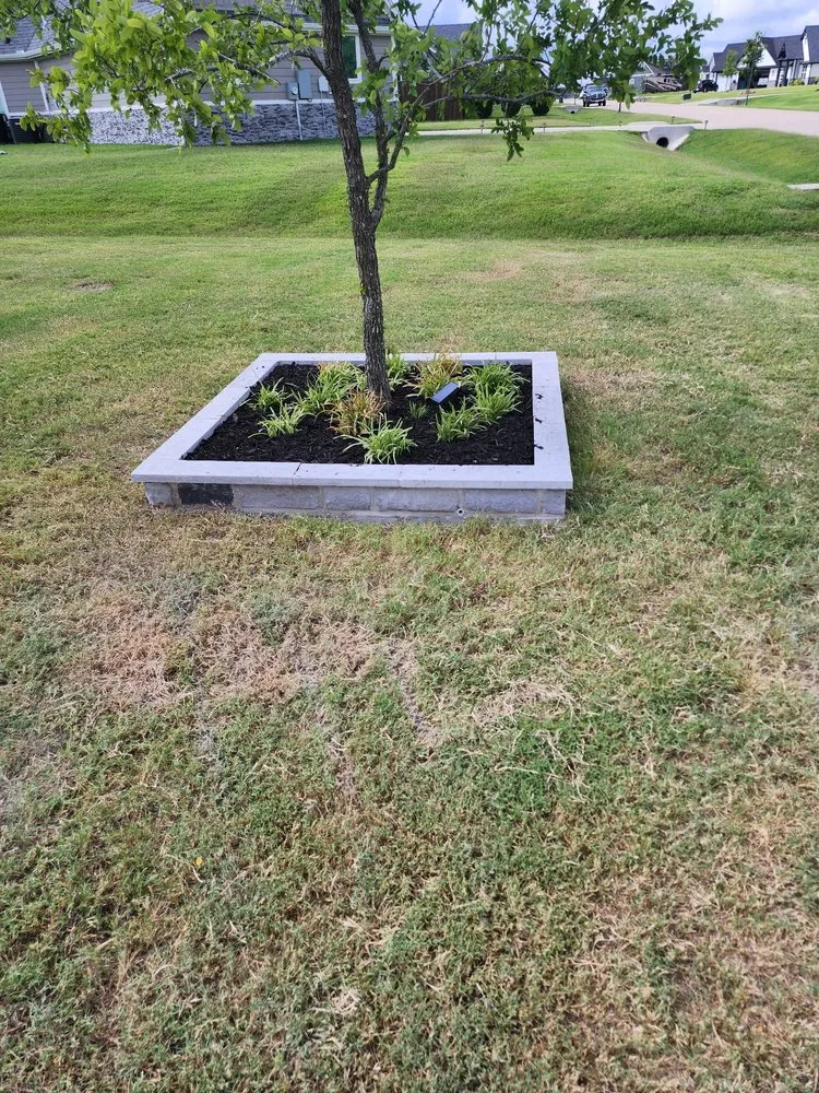 Top-rated yard maintenance in Allen, TX - Landscaping Troopers