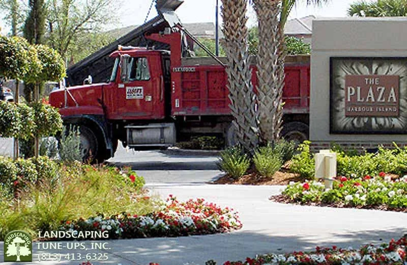 Reliable landscape design for residential properties in Tampa, FL by Landscaping Tune-Ups