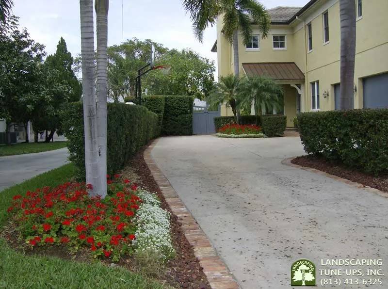 Expert residential landscaping in Tampa, FL by Landscaping Tune-Ups