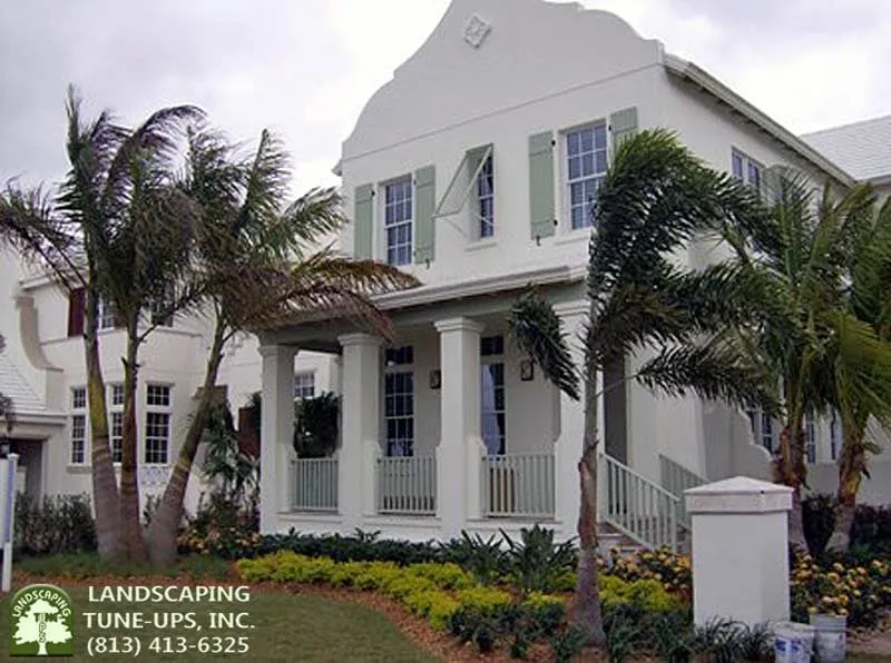 Top-rated lawn mowing service in Tampa, FL - Landscaping Tune-Ups