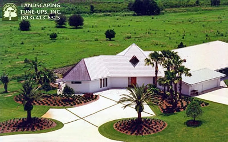 Custom outdoor landscaping in Tampa, FL - Landscaping Tune-Ups