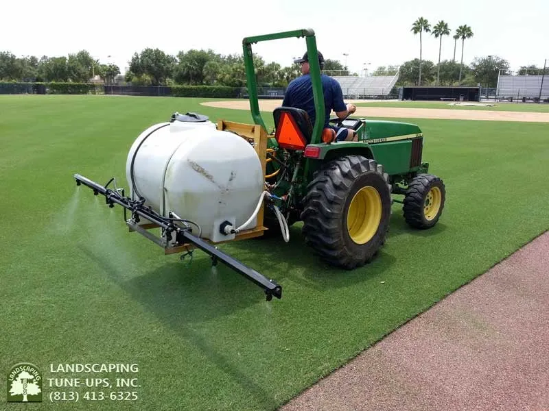 Reliable landscaping services in Tampa, FL by Landscaping Tune-Ups