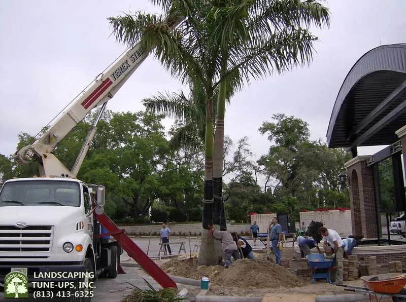 Affordable landscape design experts serving Tampa, FL - Landscaping Tune-Ups