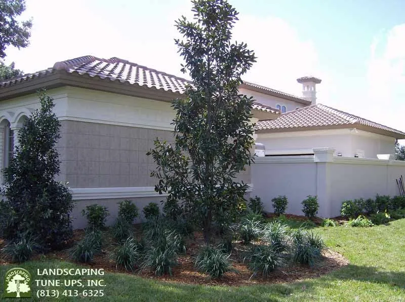 Reliable residential landscaping for outdoor upgrades in Tampa, FL by Landscaping Tune-Ups