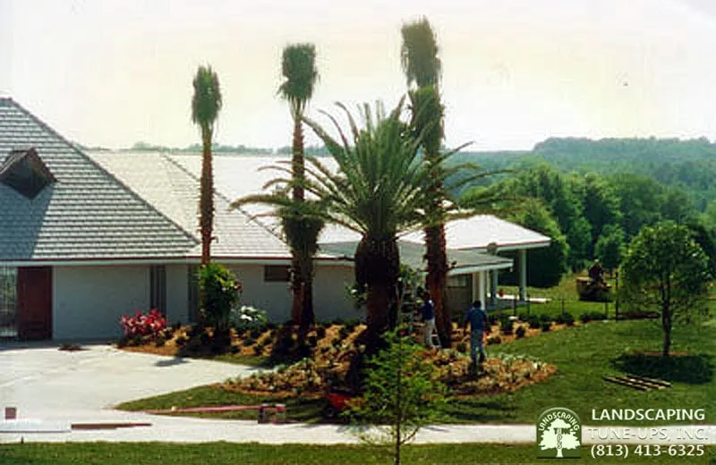 Reliable lawn mowing service for year-round maintenance across Tampa, FL - Landscaping Tune-Ups