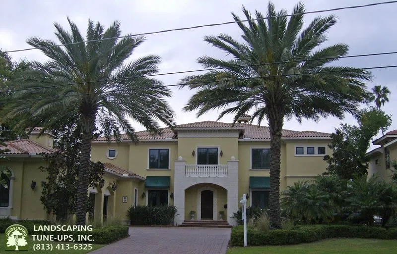 Expert lawn mowing service near you across Tampa, FL - Landscaping Tune-Ups