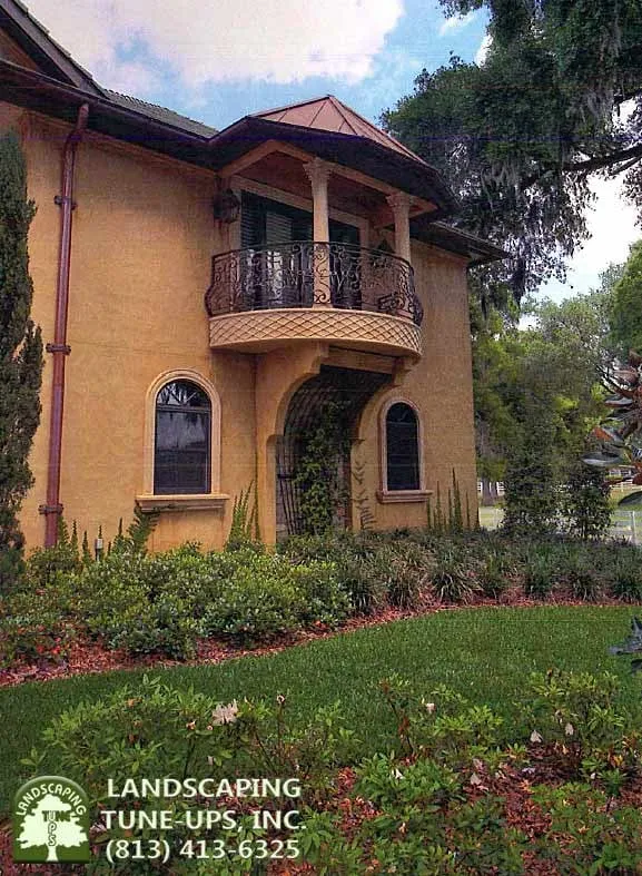 Local landscaping services experts serving Tampa, FL - Landscaping Tune-Ups