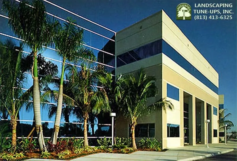 Local landscape installation experts serving Tampa, FL - Landscaping Tune-Ups