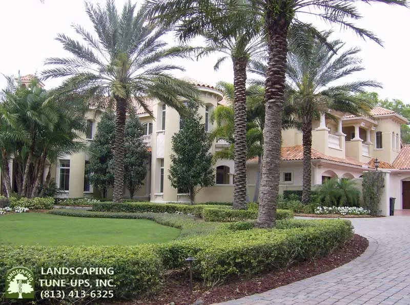 Local landscaping services in Tampa, FL - Landscaping Tune-Ups