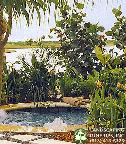 Reliable yard cleanup service for homes across Tampa, FL - Landscaping Tune-Ups