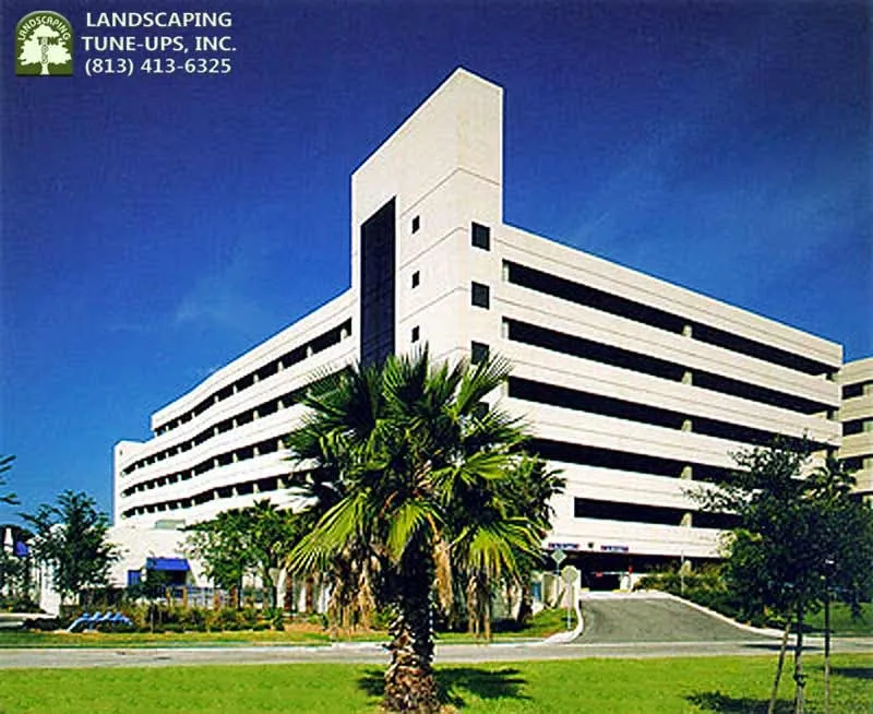 Professional lawn mowing service in Tampa, FL by Landscaping Tune-Ups