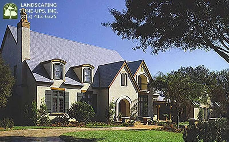 Custom yard cleanup service with custom design in Tampa, FL by Landscaping Tune-Ups