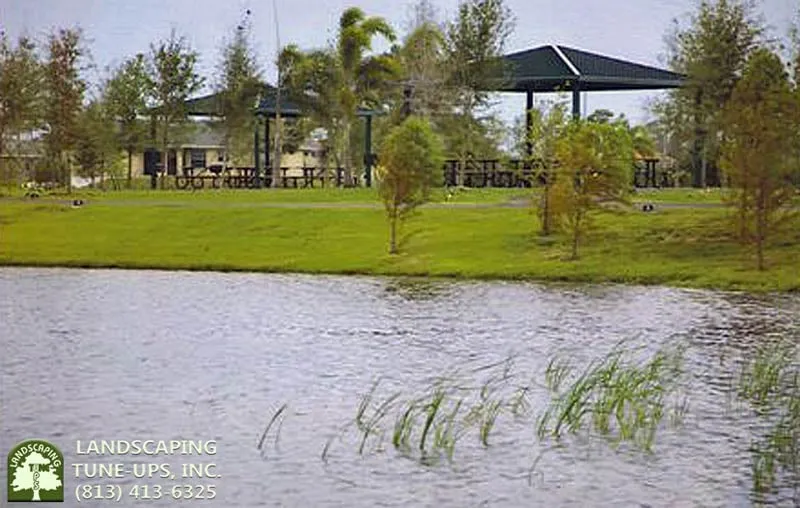 Top-rated landscaping services near you across Tampa, FL - Landscaping Tune-Ups