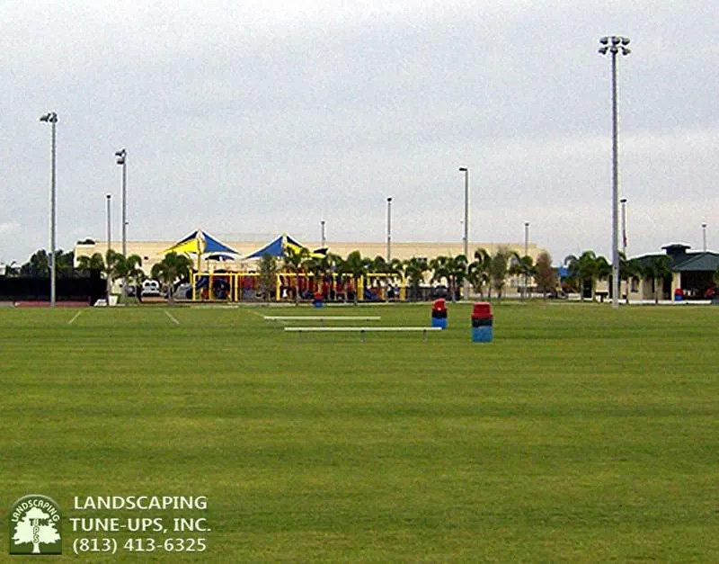 Local landscape installation in Tampa, FL - Landscaping Tune-Ups